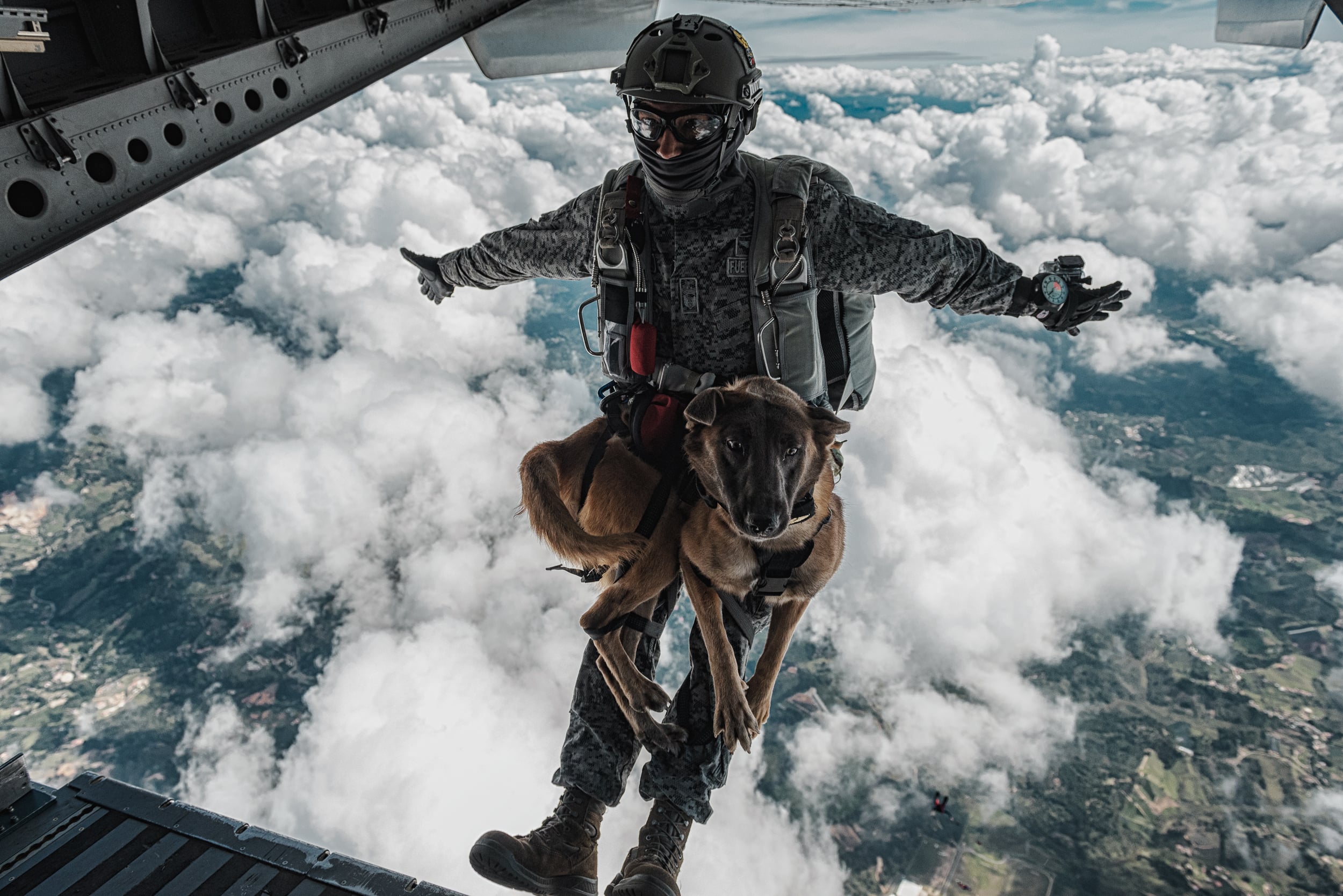 Colombian Armed Forces photograph 18